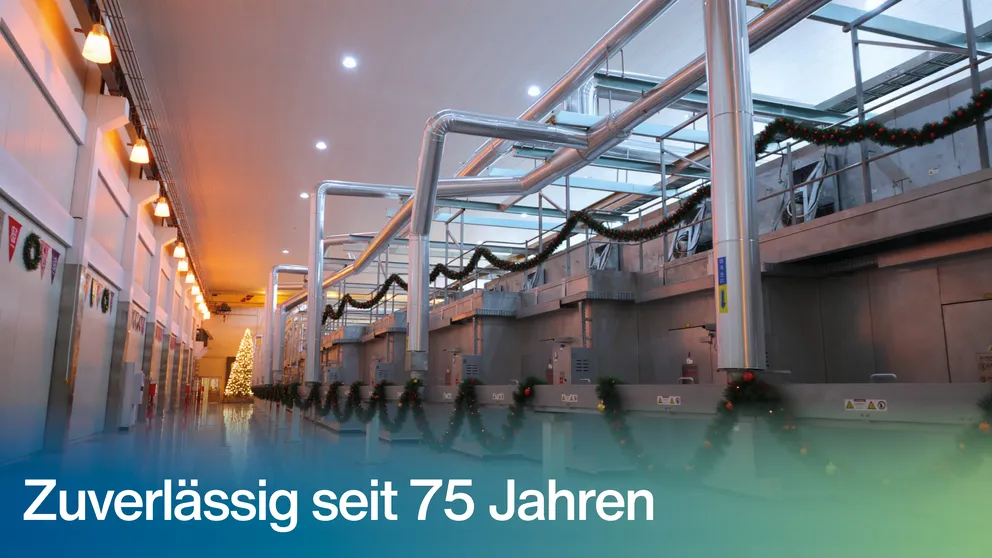 2025_LinkedIn Post_Weihnachten Monteureinsatz_DE.jpg